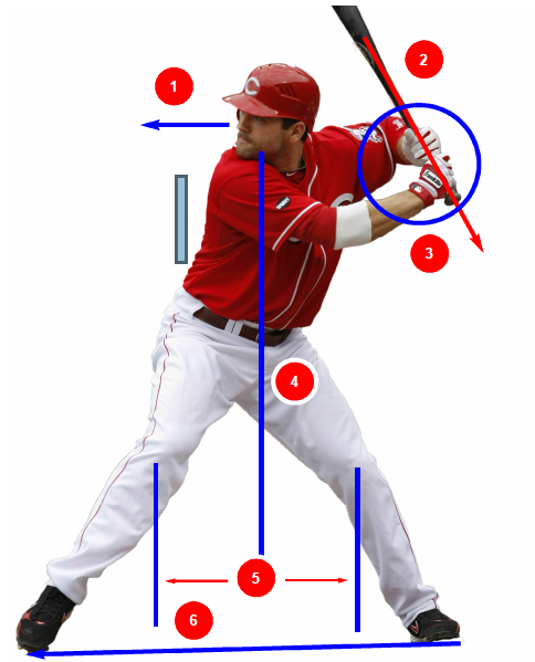 Votto's workouts have helped him develop some of the best hitting mechanics in all of baseball.