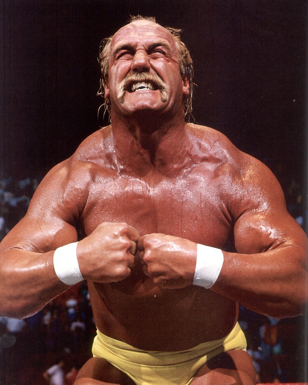 Hulk-Hogan